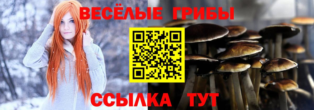 Псилоцибиновые грибы мицелий  Галлюциногенные грибы MAGIC MUSHROOMS  Коммунар  Вход с VPN 
